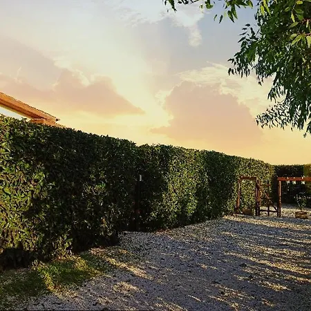 Appartement La Dimora Degli Ulivi Ladispoli
