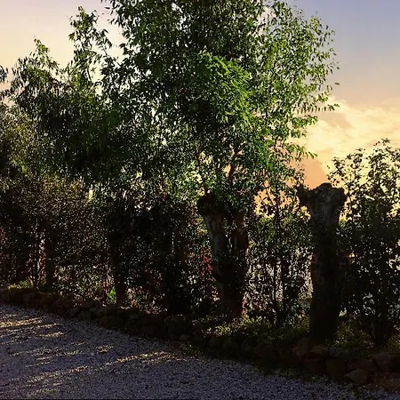 La Dimora Degli Ulivi *