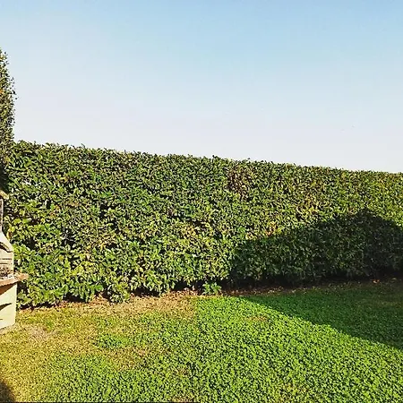 La Dimora Degli Ulivi Apartamento